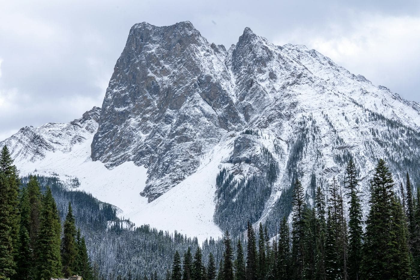 A steep rocky peak covered in snow above a dark forest of conifers near Banff
