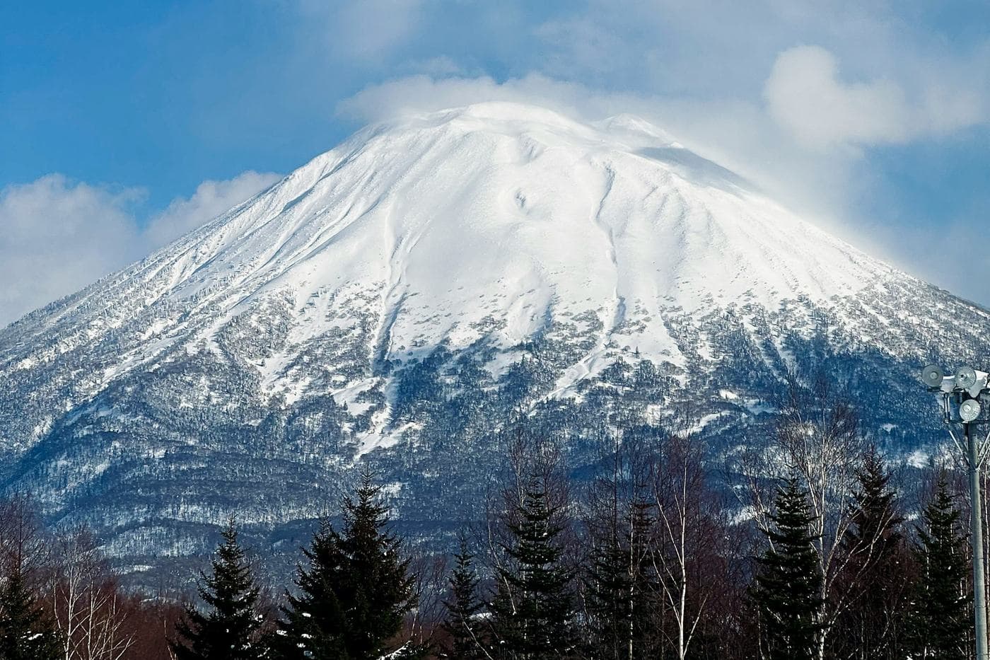 Snow-covered Mt Yotei with cloud around its summit, above a line of dark conifers at Niseko Village